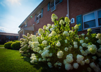 Beautiful flowers bloowming outside of apartments for rent in Nanuet, NY